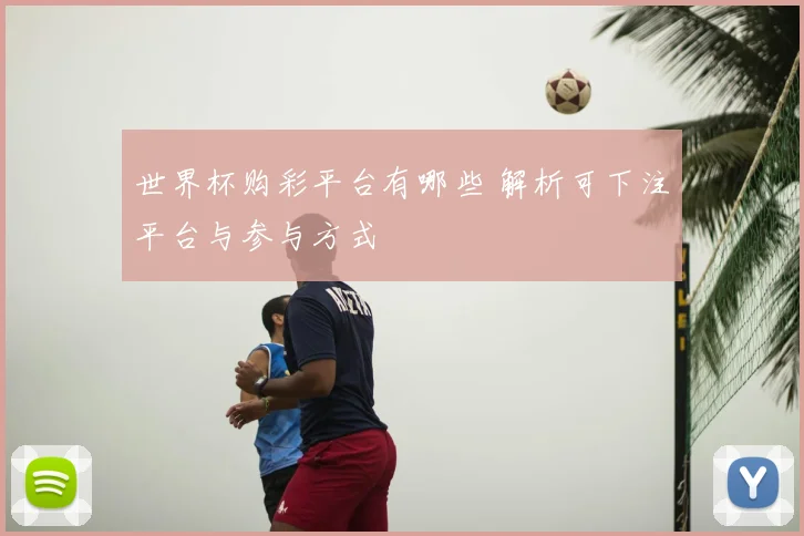 世界杯购彩平台有哪些 解析可下注平台与参与方式