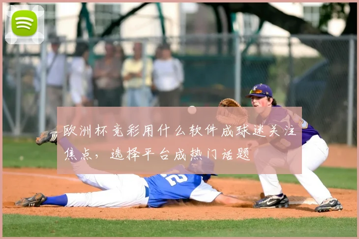 欧洲杯竞彩用什么软件成球迷关注焦点,选择平台成热门话题