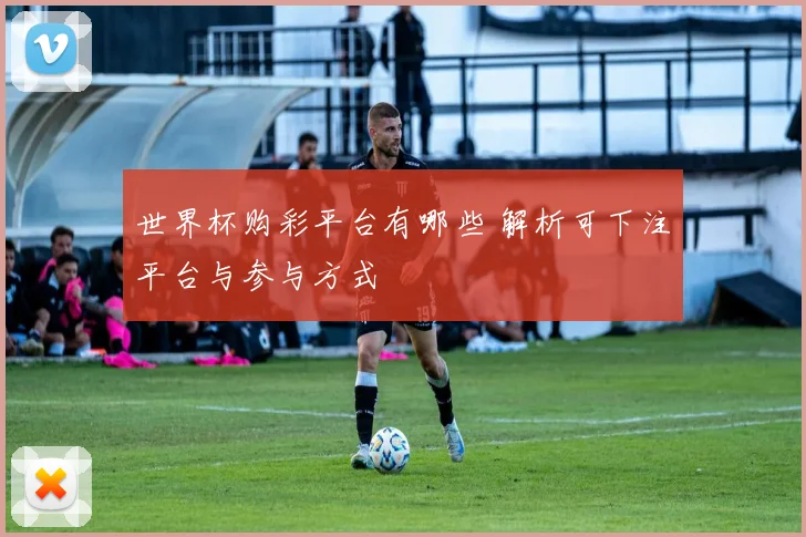 世界杯购彩平台有哪些 解析可下注平台与参与方式