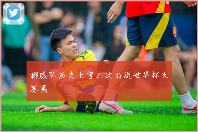 挪威队历史上曾三次打进世界杯决赛圈